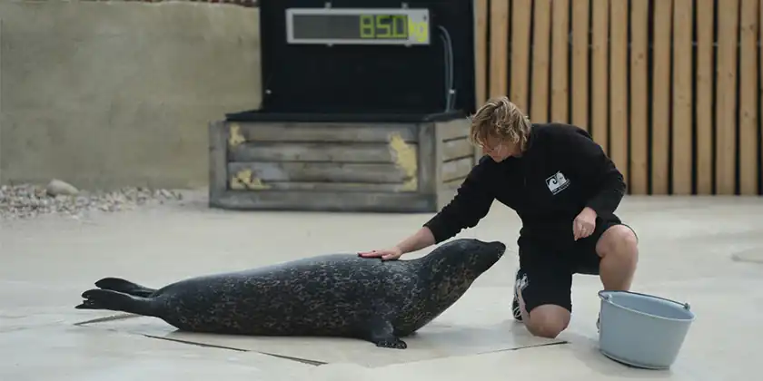 Vandig Epoxymaling: En Revolutionær Innovation, der Holder i Vand